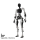 PNDbotics Adam Standard Plus