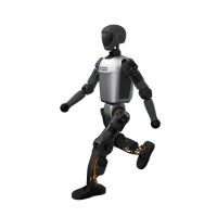 Booster Robotics T1-D (Extended Version with Dexterous Hands)
