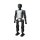 Booster Robotics T1-D (Extended Version with Dexterous Hands)